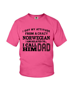 Attitude From Crazy Norwegian Dad Norway Love T-Shirt For Dad Youth Tee