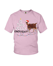 Load image into Gallery viewer, Jolly Cat Christmas Gift For Cat Lovers Youth Tee
