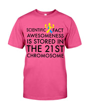 Load image into Gallery viewer, Scientist Fact Awesomeness Is Stored In The 21St Chromosome Guys Tee