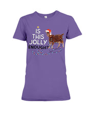 Load image into Gallery viewer, Jolly Cat Christmas Gift For Cat Lovers Ladies Tee