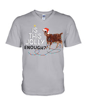 Load image into Gallery viewer, Jolly Cat Christmas Gift For Cat Lovers Guys V-Neck