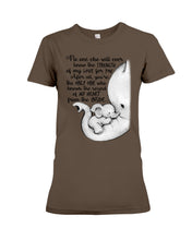 Load image into Gallery viewer, Elephant Cute Gift For Family Tee Ladies Tee