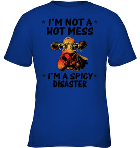 Heifer Not A Hot Mess Spicy Disaster Funny Quote Tee Youth Tee