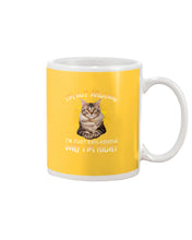 Load image into Gallery viewer, Cat Lovers T-Shirt Not Arguing Just Explaining Mug