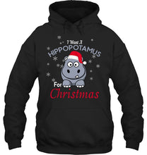 Load image into Gallery viewer, I Want A Hippopotamus For Christmas Shirt Hoodie