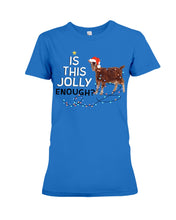 Load image into Gallery viewer, Jolly Cat Christmas Gift For Cat Lovers Ladies Tee