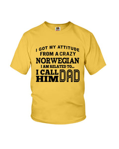 Attitude From Crazy Norwegian Dad Norway Love T-Shirt For Dad Youth Tee