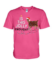 Load image into Gallery viewer, Jolly Cat Christmas Gift For Cat Lovers Guys V-Neck
