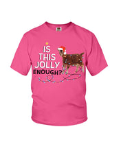 Load image into Gallery viewer, Jolly Cat Christmas Gift For Cat Lovers Youth Tee