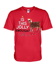 Load image into Gallery viewer, Jolly Cat Christmas Gift For Cat Lovers Guys V-Neck
