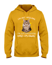 Load image into Gallery viewer, Cat Lovers T-Shirt Not Arguing Just Explaining Hoodie