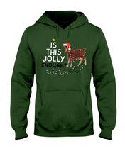 Load image into Gallery viewer, Jolly Cat Christmas Gift For Cat Lovers Hoodie