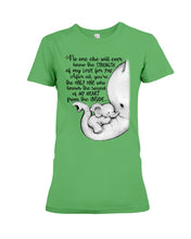 Load image into Gallery viewer, Elephant Cute Gift For Family Tee Ladies Tee