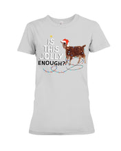 Load image into Gallery viewer, Jolly Cat Christmas Gift For Cat Lovers Ladies Tee